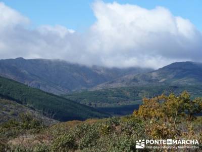 Actividad desde zona norte Madrid, Parque Natural del Hayedo de Tejera Negra; rutas madrid sierra